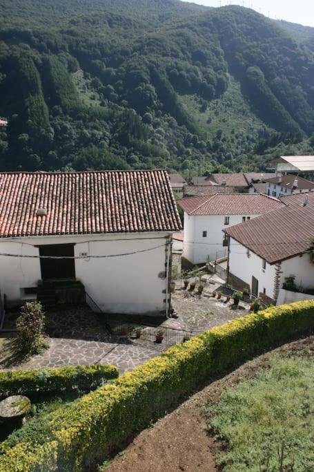 Ezkurra Gartzinea, Amplia Y Preciosa Vivienda Rural 아파트 외부 사진