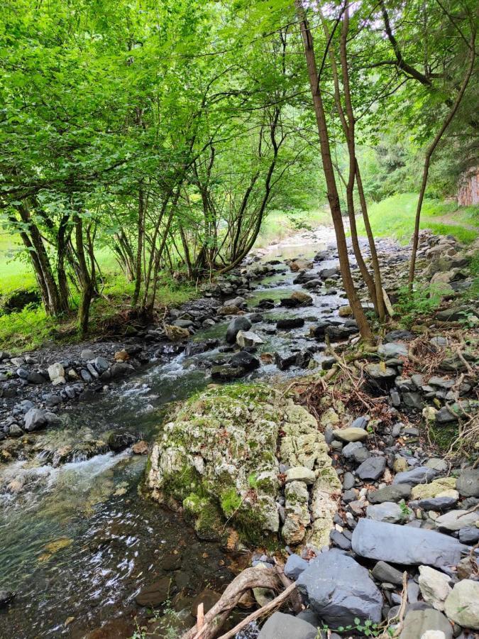Ezkurra Gartzinea, Amplia Y Preciosa Vivienda Rural 아파트 외부 사진